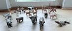 Sleich dieren boerderij wild, Ophalen of Verzenden, Zo goed als nieuw