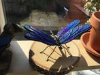 Libelle/ dragonfly, Tiffany/ glas in lood, Antiek en Kunst, Ophalen of Verzenden