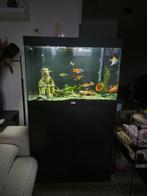 Aqualantis 200L aquarium + eheim pro filter, Dieren en Toebehoren, Ophalen, Zo goed als nieuw, Gevuld zoetwateraquarium