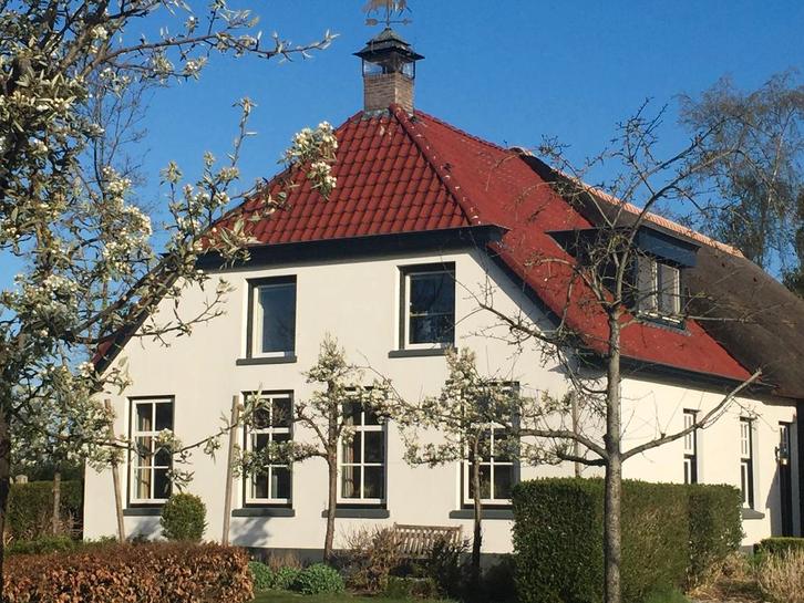 Gezocht huishoudelijke hulp in Ruinerwold, Diensten en Vakmensen, Huishoudelijke hulp, Schoonmaken