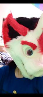 Fursuit commision, Ophalen of Verzenden, Zo goed als nieuw