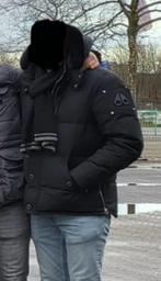 Moose knuckles winterjas origineel xxl  !!, Zwart, Moose knuckles, Maat 56/58 (XL), Ophalen of Verzenden