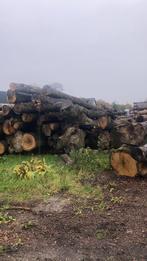 Eiken beuken essen berken stammen, Tuin en Terras, 6 m³ of meer, Ophalen of Verzenden