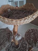 Krab/klimpaal, Dieren en Toebehoren, Ophalen, Zo goed als nieuw