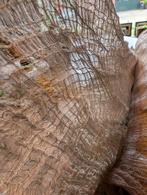 Handgeweven zijde uit India, 120 cm of meer, Ophalen of Verzenden, Katoen, Nieuw
