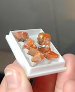 Wulfeniet - Red Cloud Mine, Arizona, Verzamelen, Ophalen of Verzenden, Mineraal