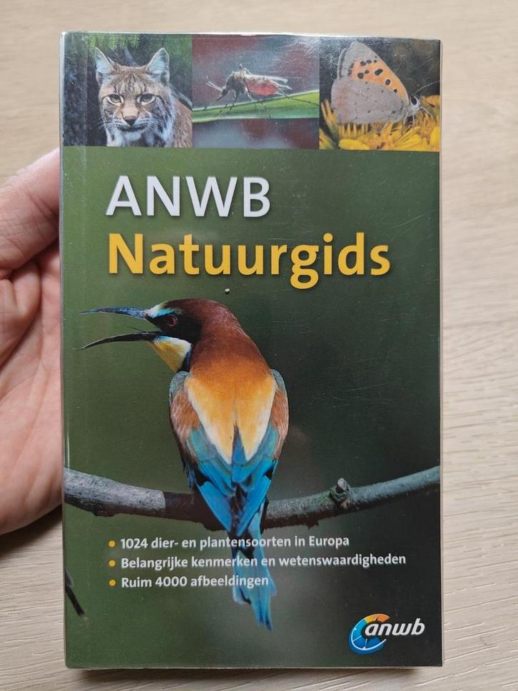 Volker Dierschke - ANWB natuurgids, Boeken, Wetenschap, Zo goed als nieuw, Sociale wetenschap, Ophalen of Verzenden