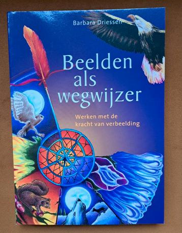 B. Driessen - Beelden als wegwijzer beschikbaar voor biedingen