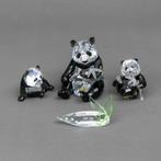 Swarovski  Endangered Wildlife 2008 Pandaberen, ., Nieuw, Ophalen of Verzenden, Figuurtje