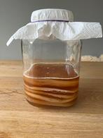 Biologische kombucha scoby, Diversen, Levensmiddelen, Ophalen