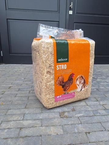 Welkoop stro 5 kg – natuurlijke bodembedekking voor kippen & beschikbaar voor biedingen