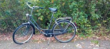 Gazelle maxinette  beschikbaar voor biedingen