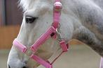 halster set pony, Dieren en Toebehoren, Nieuw, Verzenden