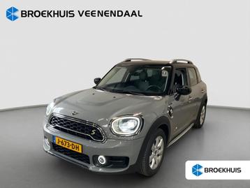 MINI Mini Countryman 2.0 Cooper S E ALL4 | Cruise Control |  beschikbaar voor biedingen