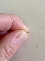 Neuspiercing goldplated zirkonia 1 mm, Sieraden, Tassen en Uiterlijk, Piercings, Ophalen of Verzenden, Zo goed als nieuw, Overige materialen