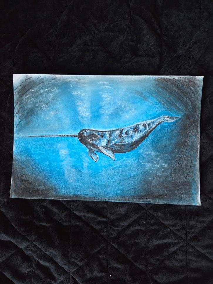 Pastel Tekening Narwal A4, Antiek en Kunst, Kunst | Tekeningen en Foto's, Ophalen of Verzenden