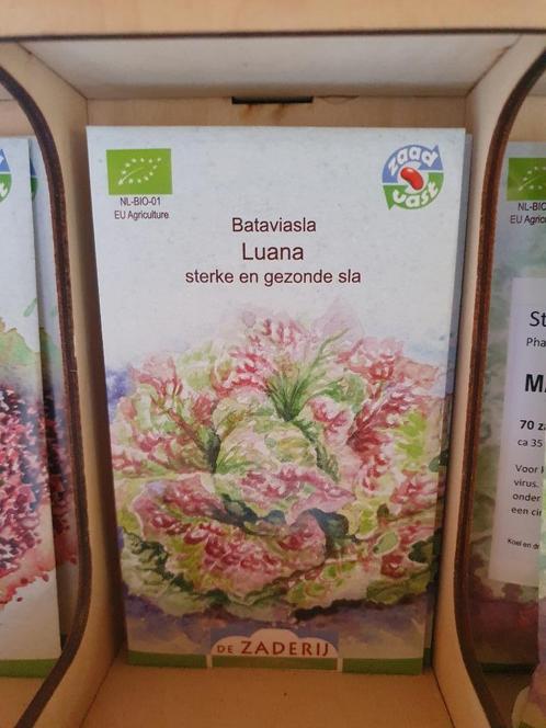 Slazaden Batavia, Tuin en Terras, Bloembollen en Zaden, Zaad, Voorjaar, Volle zon, Ophalen