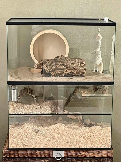 Gerbilarium met gratis opzetstuk 75x40x50, Dieren en Toebehoren, Knaagdieren en Konijnen | Hokken en Kooien, Zo goed als nieuw