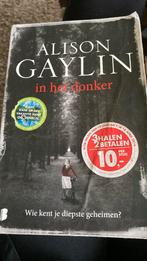 Alison Gaylin - In het donker, Boeken, Thrillers, Ophalen of Verzenden, Alison Gaylin