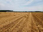 Kleine pakjes tarwestro, Dieren en Toebehoren, Ophalen of Verzenden