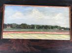 olieverf landschap paneel, Ophalen of Verzenden