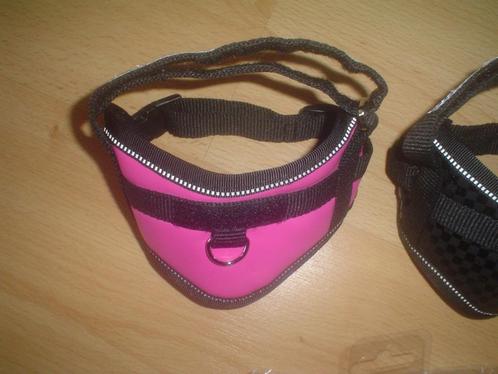 Tuigje, Dieren en Toebehoren, Honden-accessoires, Nieuw, Ophalen of Verzenden
