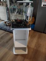 Aquarium met alles er bij, Dieren en Toebehoren, Vissen | Aquaria en Toebehoren, Ophalen