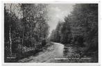 Ginneken Berkendreefje Oude Ongelopen Ansichtkaart (B1472, Verzamelen, Ansichtkaarten | Nederland, Ophalen of Verzenden, 1960 tot 1980