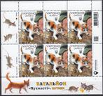 Oekraïne - 2024 - Het Front en de Huisdieren - Katten, Verzenden, Overige landen, Postfris