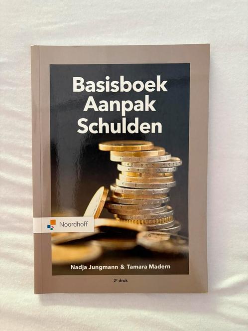 Nadja Jungmann - Basisboek aanpak schulden, Boeken, Wetenschap, Zo goed als nieuw, Sociale wetenschap, Ophalen of Verzenden