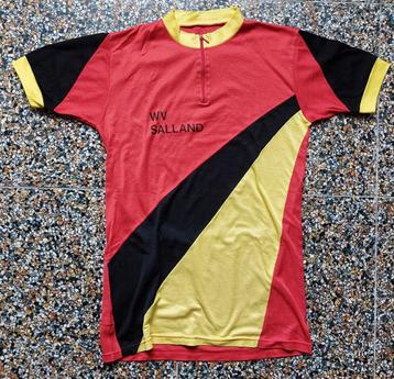 Wielershirt WV Salland Olst Deventer vintage wielrennen beschikbaar voor biedingen