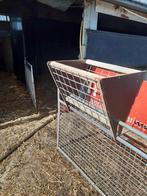 Ruiven voor schapen, Meerdere dieren, Schaap