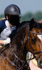 Donkerbruine KEP italia schaal maat M, Dieren en Toebehoren, Paardrijkleding, Ophalen, Zo goed als nieuw, Dressuur, Cap