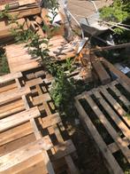 29 Gebruikte Pallets - Hout voor Hergebruik, Doe-het-zelf en Verbouw, Hout en Planken, Ophalen, Gebruikt, 50 mm of meer, Pallet
