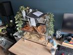 Gerbilarium 80bx50hx40d, Ophalen, Zo goed als nieuw, Kooi, Minder dan 60 cm