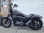 Iron XL - BJ'20-09-2017 - 5HD- voorzien van prachtige opties, 2 cilinders, Chopper, Bedrijf, 900 cc