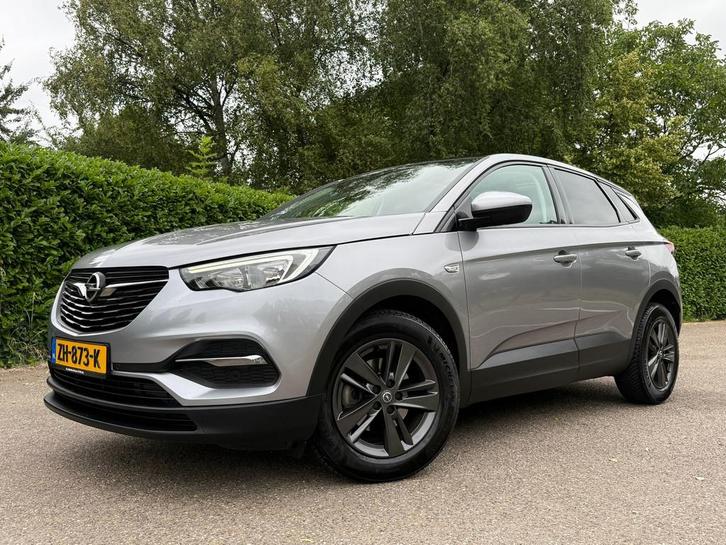 Opel Grandland X 1.2 Turbo 120 Jaar Edition Automaat | Panor, Auto's, Opel, Bedrijf, Te koop, Grandland X, ABS, Airbags, Airconditioning