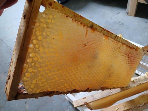 Puur Natuur: Raathoning Rechtstreeks van de Hobby-Imker | Ve, Diversen, Levensmiddelen, Ophalen