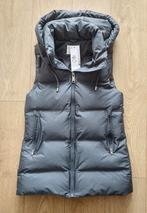 Nieuw lang gewatteerd warm vest met capuchon maat xs, Kleding | Dames, Bodywarmers, Primark, Nieuw, Ophalen of Verzenden, Maat 34 (XS) of kleiner