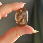 Rutielkwarts op standaard, Ophalen of Verzenden