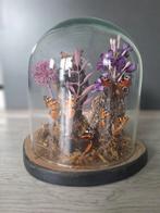 Vlinders in Stolp - Decoratief Kunstwerk, Ophalen of Verzenden, Nieuw, Insect, Opgezet dier