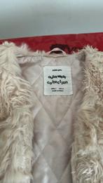 Meisjes vest, Kleding | Dames, Ophalen of Verzenden, Zo goed als nieuw, Maat 34 (XS) of kleiner, Zara