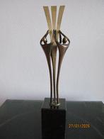 Verbronsd beeld van Corry Ammerlaan - Niekerk CAN, Ophalen