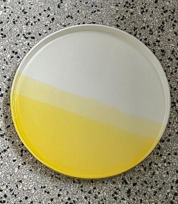 Nieuw Vitra Herringbone Tray dienblad fruitschaal 35cm geel