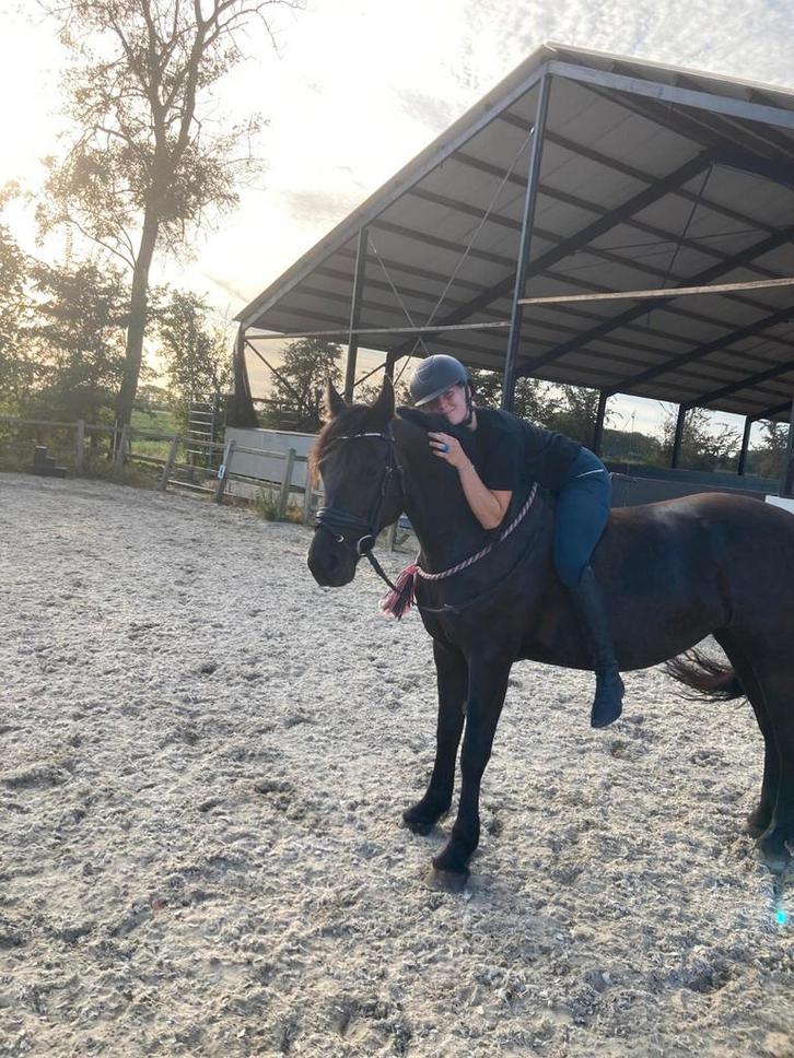 Bijrijdpaard gezocht omgeving woudenberg, Dieren en Toebehoren, Paarden en Pony's | Overige Paardenspullen, Zo goed als nieuw