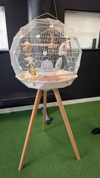 Omlet geo vogelkooi, Ophalen, Metaal, Vogelkooi