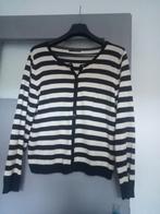 Dames Vest, Ophalen of Verzenden