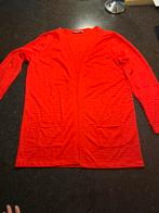 Vest Dreamstar maat L, Ophalen of Verzenden, Zo goed als nieuw, Maat 38/40 (M), Rood