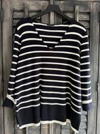 Question fijn brei trui slechts 1x gedragen maat 48(3xl), Kleding | Dames, Ophalen of Verzenden, Zo goed als nieuw, Trui of Vest