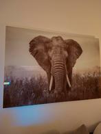 Plexiglas Olifant muurschilderij, Ophalen of Verzenden, Zo goed als nieuw, Schilderij, 75 cm of meer